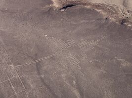 Lignes de Nazca - Nazca - Pérou