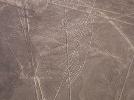 Lignes de Nazca - Nazca - Pérou