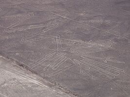 Lignes de Nazca - Nazca - Pérou