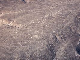 Palpa Geoglyphs - Palpa - Peru