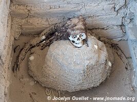 Chauchilla Necropolis - Nazca - Peru