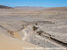 Trail to the Cañon de los Perdidos - Peru