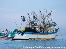 El Chaco (Paracas) - Peru