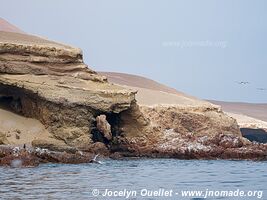 Paracas National Reserve - Peru