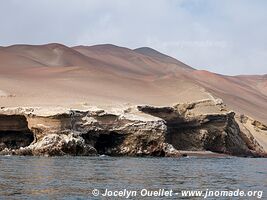 Réserve nationale de Paracas - Pérou