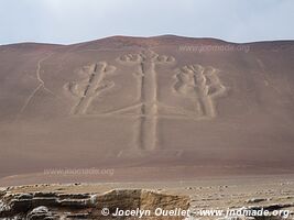 Réserve nationale de Paracas - Pérou