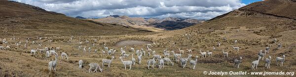 Piste de Santiago de Chuco à Pampas (zone minière) - Pérou