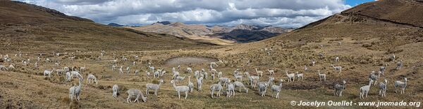 Trail Santiago from Chuco to Pampas (mining area) - Peru