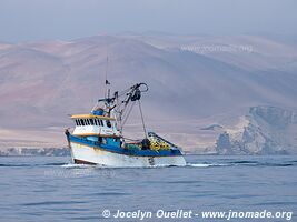 Paracas National Reserve - Peru