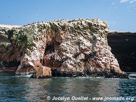 Islas Ballestas - Réserve nationale de Paracas - Pérou