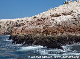 Islas Ballestas - Paracas National Reserve - Peru