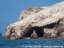 Islas Ballestas - Réserve nationale de Paracas - Pérou