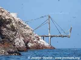 Islas Ballestas - Réserve nationale de Paracas - Pérou