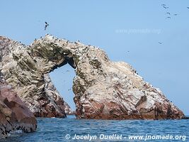 Islas Ballestas - Paracas National Reserve - Peru