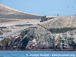 Islas Ballestas - Réserve nationale de Paracas - Pérou