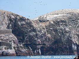 Islas Ballestas - Réserve nationale de Paracas - Pérou