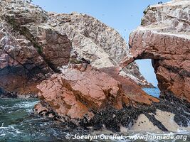 Islas Ballestas - Réserve nationale de Paracas - Pérou