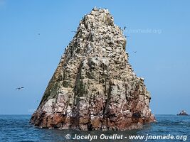 Islas Ballestas - Réserve nationale de Paracas - Pérou