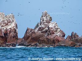 Islas Ballestas - Paracas National Reserve - Peru