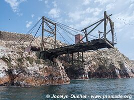 Islas Ballestas - Réserve nationale de Paracas - Pérou