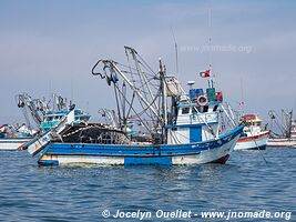 El Chaco (Paracas) - Peru