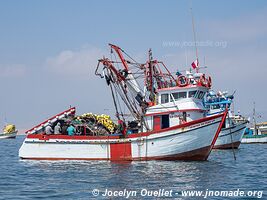 El Chaco (Paracas) - Peru