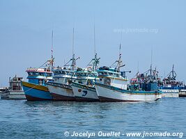 El Chaco (Paracas) - Peru