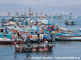 El Chaco (Paracas) - Pérou