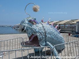 El Chaco (Paracas) - Peru