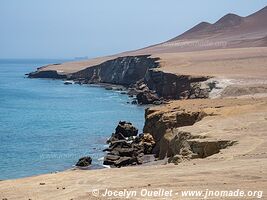 Réserve nationale de Paracas - Pérou