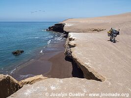 Réserve nationale de Paracas - Pérou