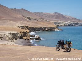 Réserve nationale de Paracas - Pérou