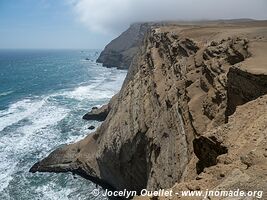 Paracas National Reserve - Peru