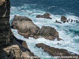 Paracas National Reserve - Peru