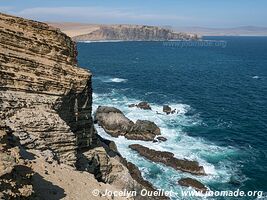 Paracas National Reserve - Peru