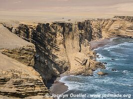 Réserve nationale de Paracas - Pérou