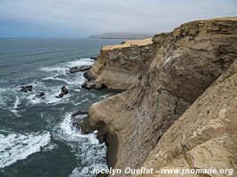 Réserve nationale de Paracas - Pérou