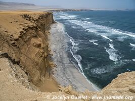 Paracas National Reserve - Peru