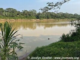 Tambopata National Reserve - Peru