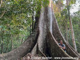 Tambopata National Reserve - Peru