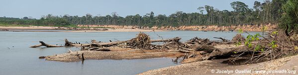 Réserve nationale Tambopata - Pérou