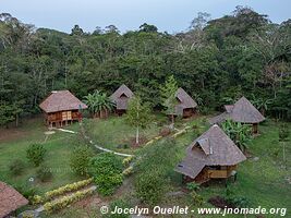 Tambopata National Reserve - Peru