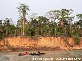 Réserve nationale Tambopata - Pérou