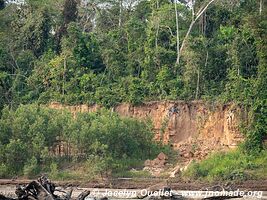 Réserve nationale Tambopata - Pérou