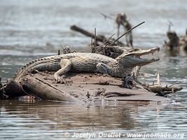 Tambopata National Reserve - Peru