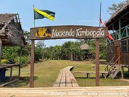 Réserve nationale Tambopata - Pérou
