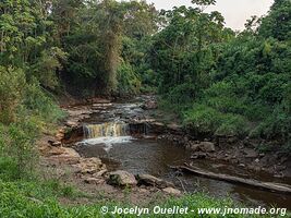 Tambopata National Reserve - Peru