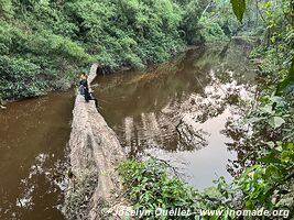 Réserve nationale Tambopata - Pérou