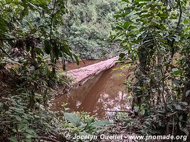 Réserve nationale Tambopata - Pérou