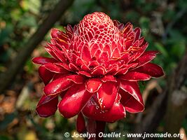 Tambopata National Reserve - Peru